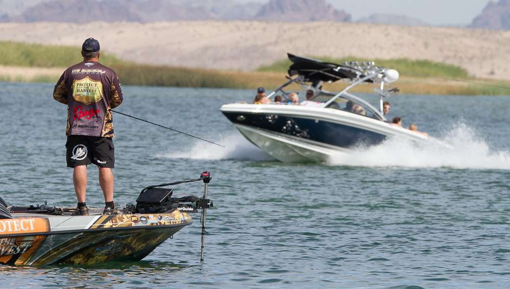 ...but the denizens of Lake Havasu are busy...