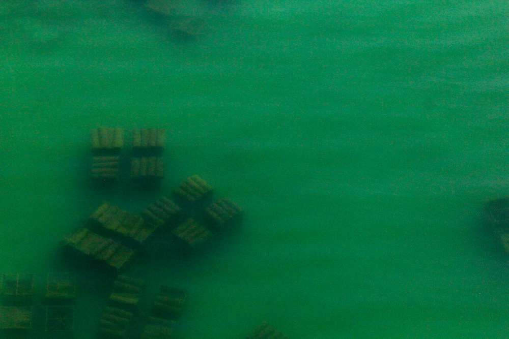 It's clear to see part of the lake's success are these manmade bass habitats.