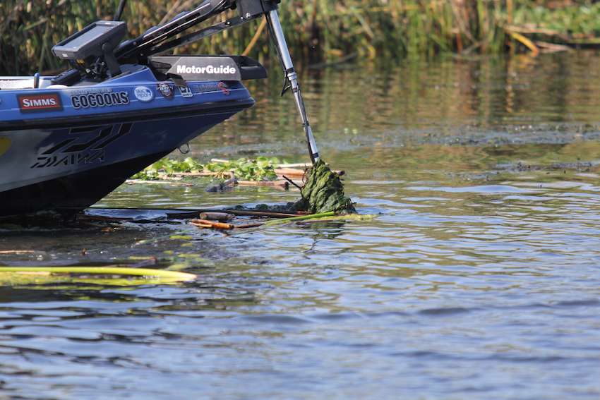 Ish battles thick vegetation with his trolling motor. 