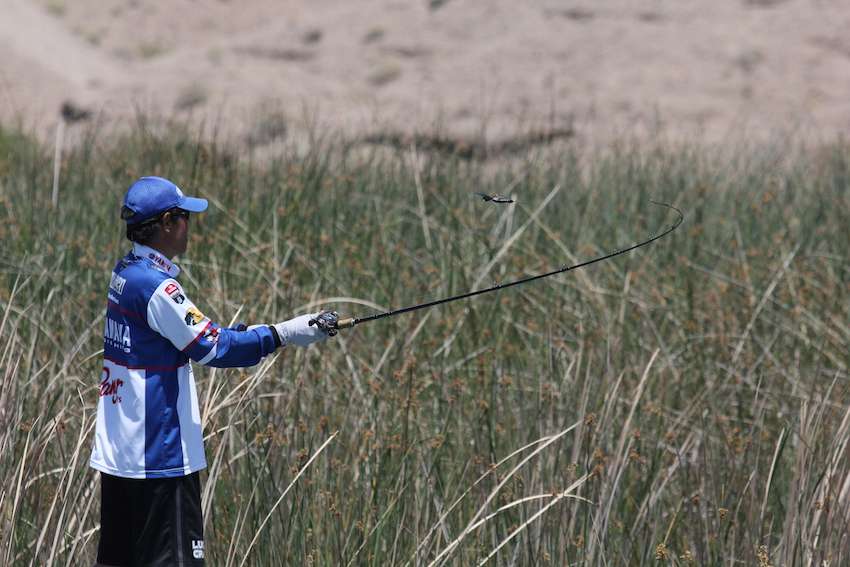 Tak casts his bait back into the reeds. 