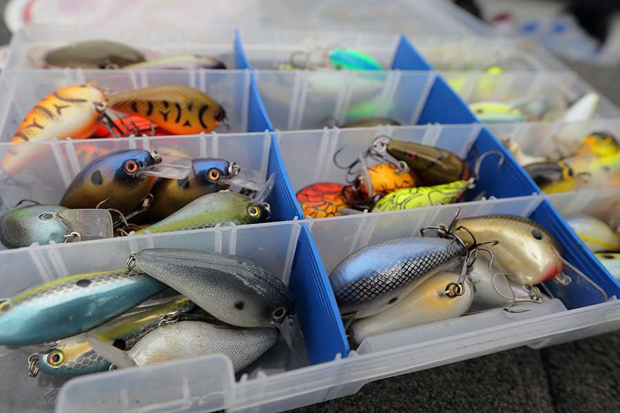 A box filled with square-billed crankbaits.
