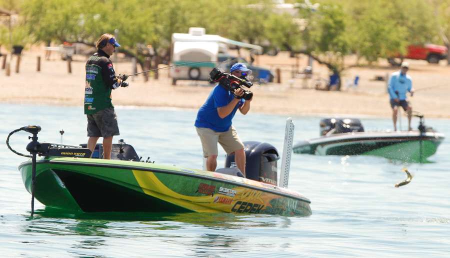 Follow tournament leader Cliff Pirch on the final day of the Bassmaster Elite at Lake Havasu presented by Dick Cepek Tires & Wheels event.