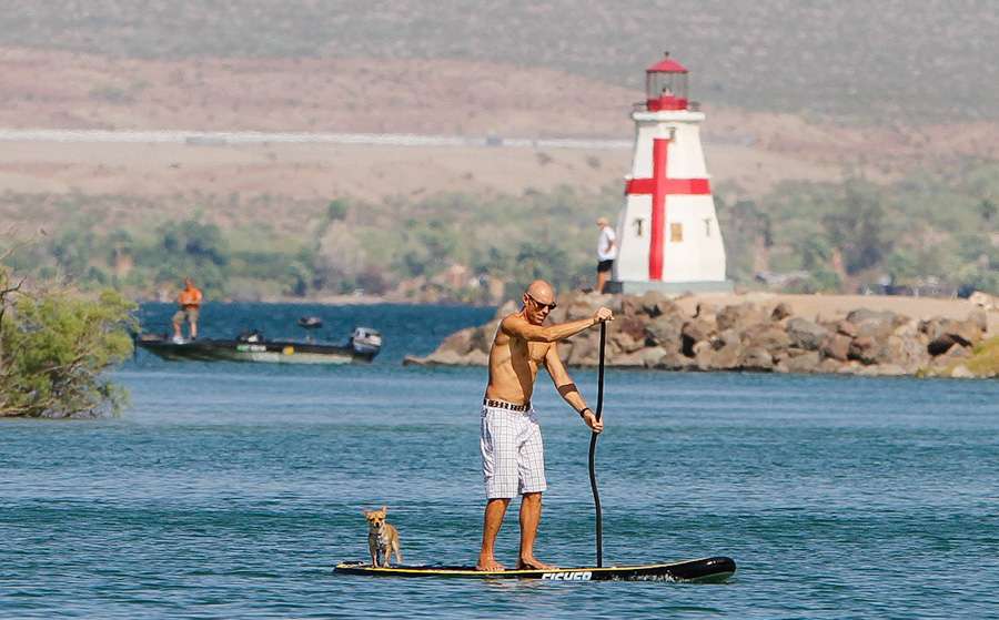 A man and his dog on a paddle boardâ¦and a lighthouse. 
