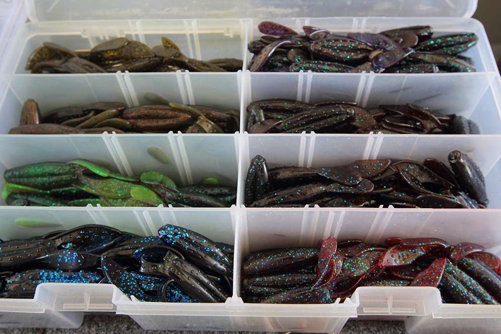 A box filled with various colors of Zoom Z-Hogs.