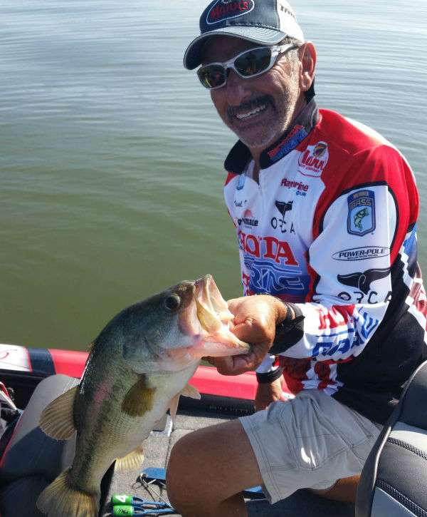 That's a limit for Paul Elias. Photo by Bassmaster Marshal Kris Effinger