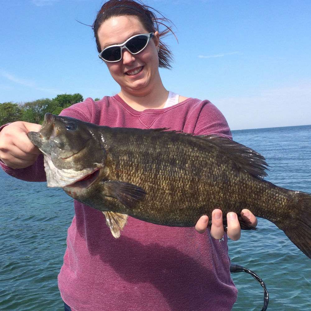 âA 5.7-pound smallmouth I caught on Lake Erie in Ohio sight fishing with a poor boy golby on a drop shot rig.â Submitted by Casey