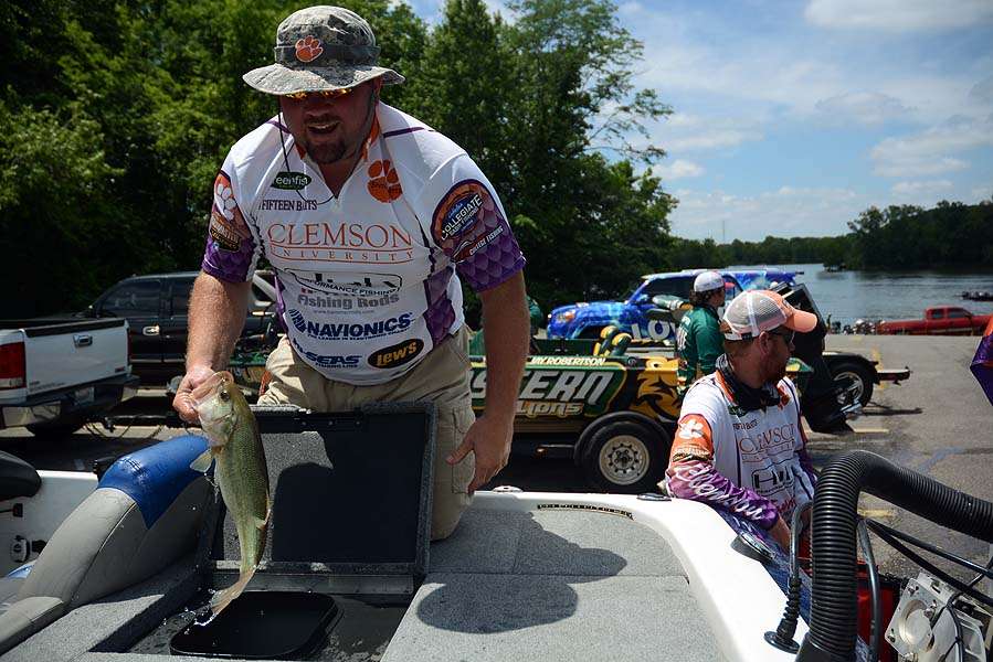 The team from Clemson University loads the weigh-in bag. The minimum length limit for largemouth is 18 inches. 