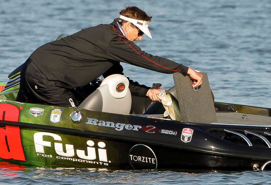 Next stop for this fish was the livewell. 