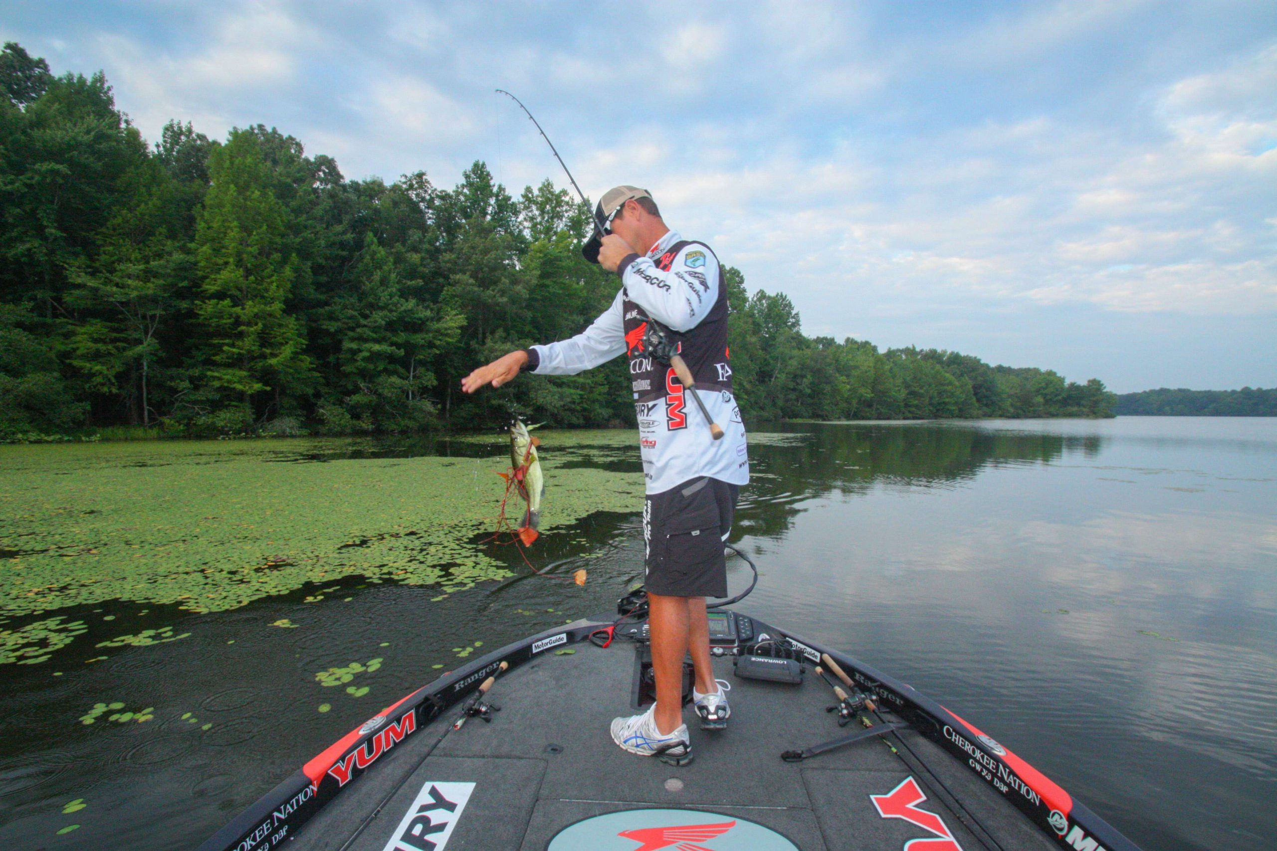 <b>7:06 a.m.</b> - Christie bags his first keeper largemouth of the day on a frog.