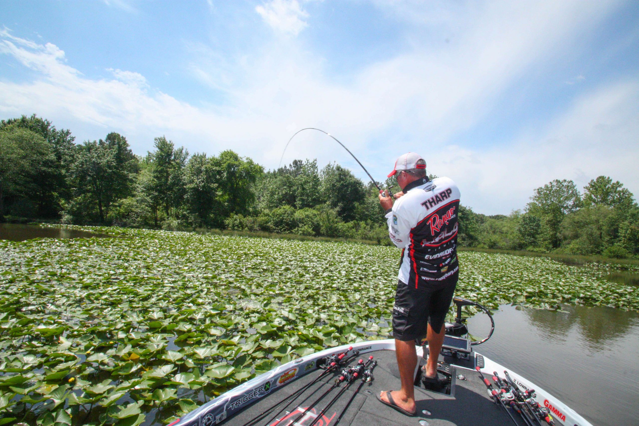 <b>11:38 a.m.</b> - Tharp hammers a lunker bass that ate his punch craw in thick pad cover.