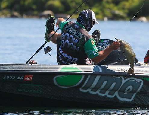 The main players in this event, though, were smallmouth bass ...