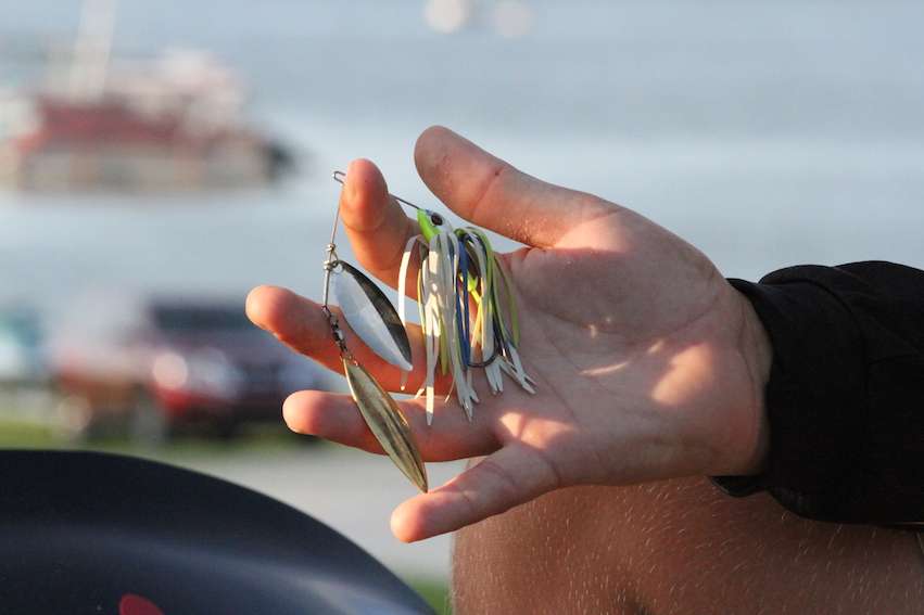 They used a 1/4-ounce Delta Lures spinnerbait.