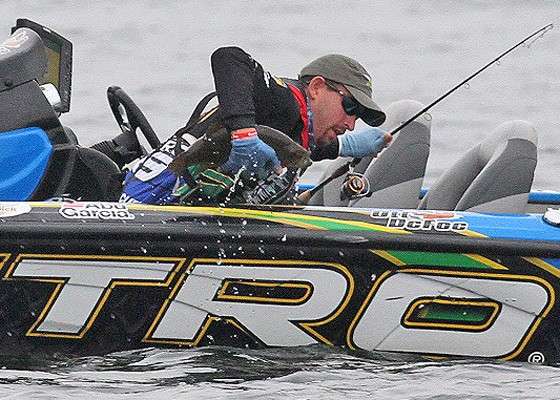As anglers hoped and fought these wild fish into the boat.