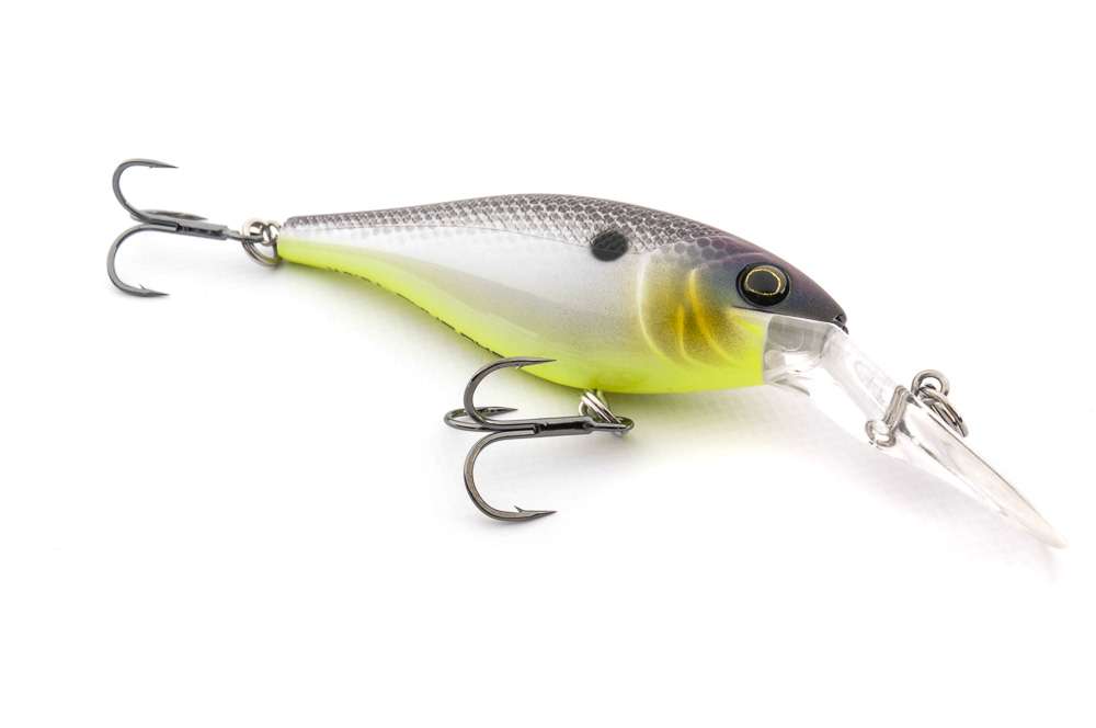 <b>Berkley</b><br>
Bad Shad 7<br>
The Bad Shad has a irresistible side roll and tail wag, and rises slowly as you pause retrieval. 