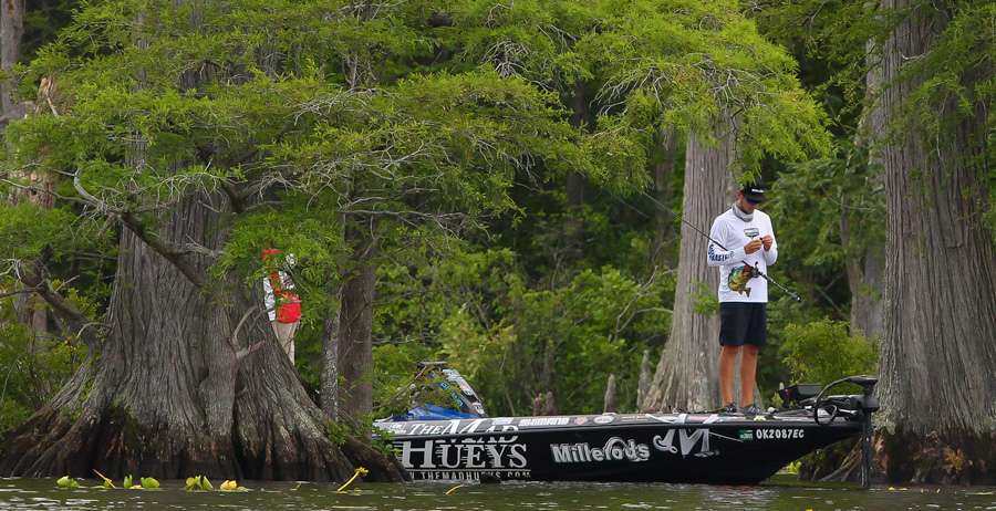 Carl Jocumsen takes time to re-tie while his boat slides between the giant cypress trees lining the river. 
