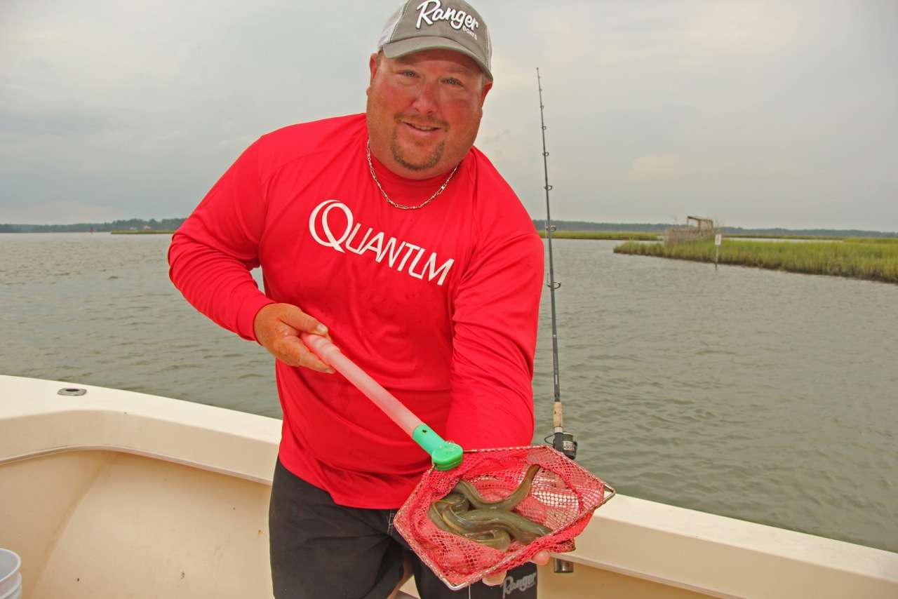 Nearly all successful saltwater anglers start their day by making sure thereâs plenty of live bait onboard. Powroznik prefers live eels for Cobia fishing. 
