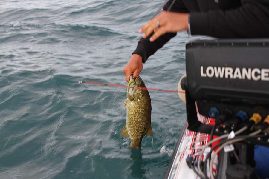 One of the many decent smallmouth that reside in Michigan...