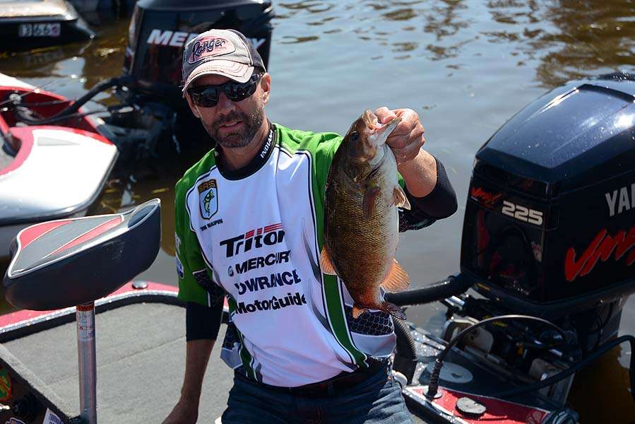 Tim Maupin of Indiana is about to drop this beautiful smallmouth into his weigh-in bag. 