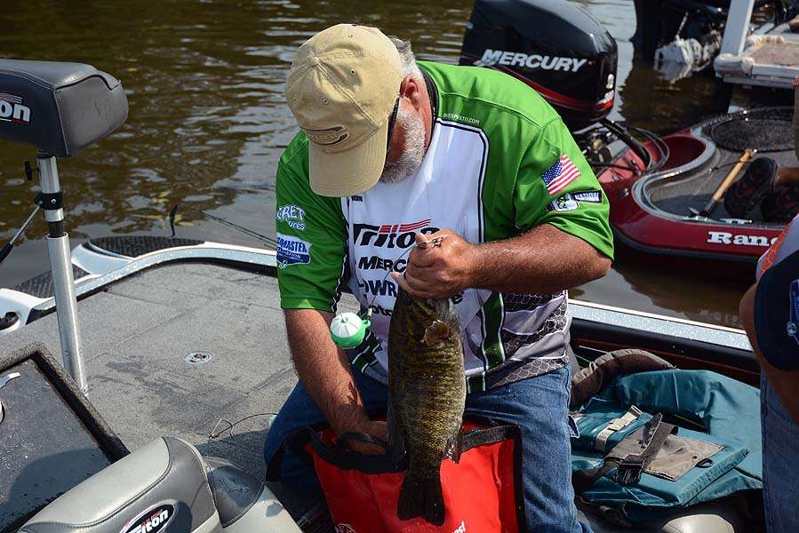 Dave Watson of the Indiana Nation with a smallmouth running about the average size of the overall dayâs weight for the fish.