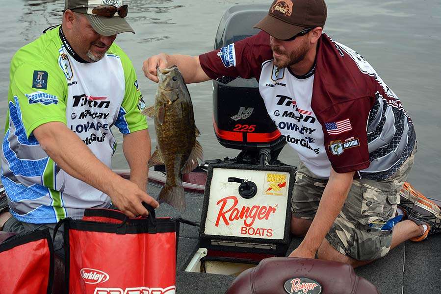 Carl Spande of Minnesota adds a smallmouth to his weigh-in bag. 