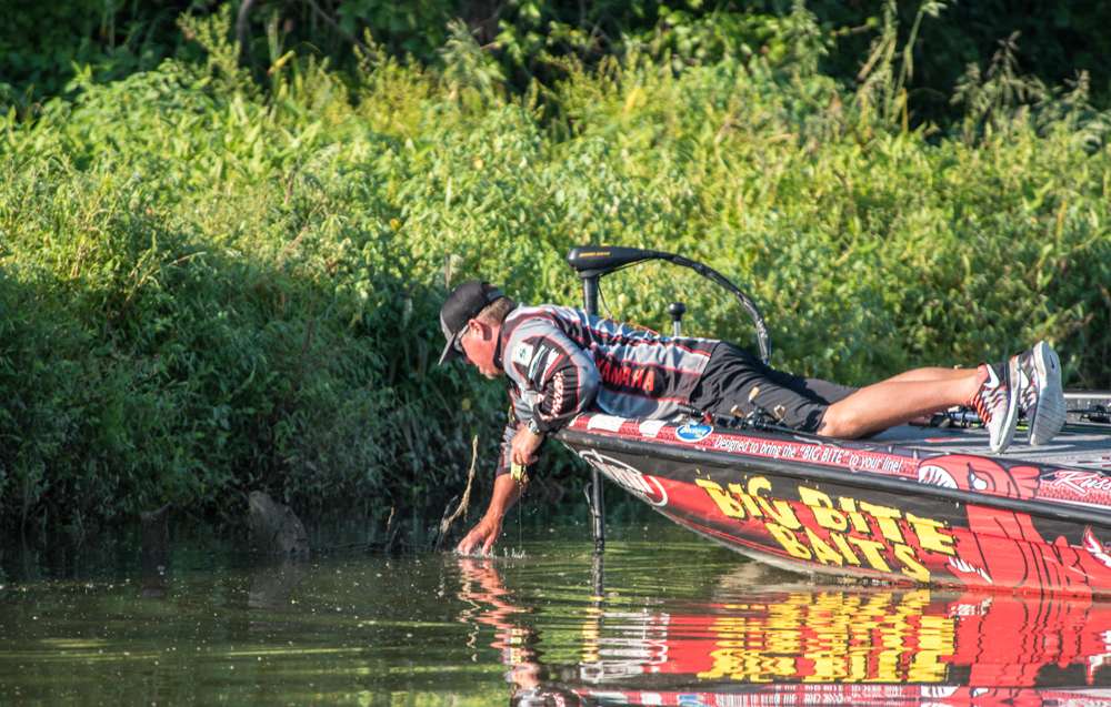 When a spinner bait got hung up on the wood, Lane went in after it. 