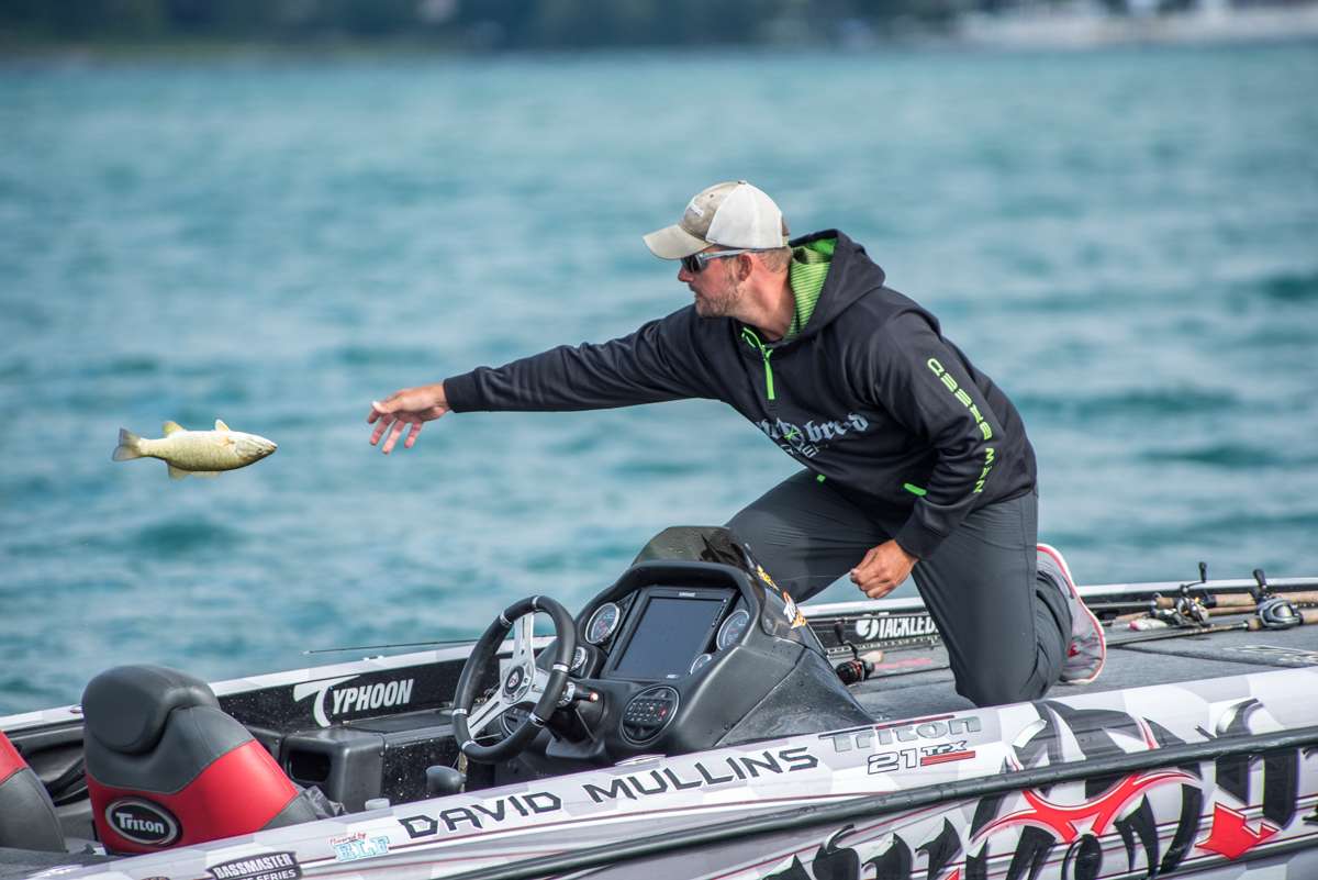 Mullins releases the fish back into Lake St. Clair. 