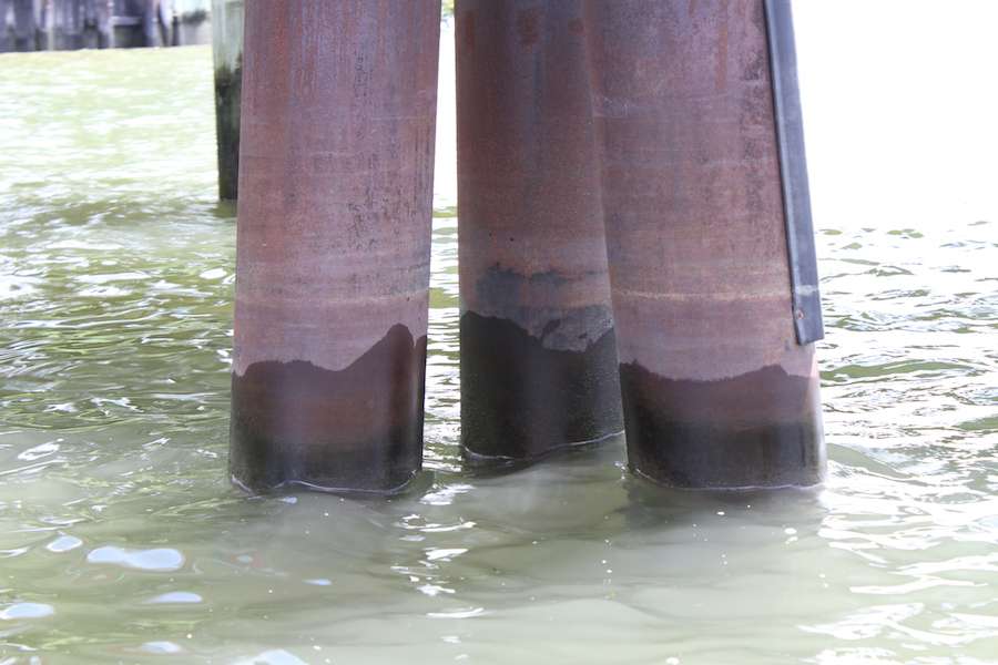 You can see how much the water level rises and falls on these dock poles.