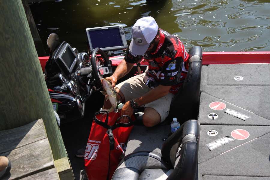 Mike Iaconelli bags his fish on Day 2.