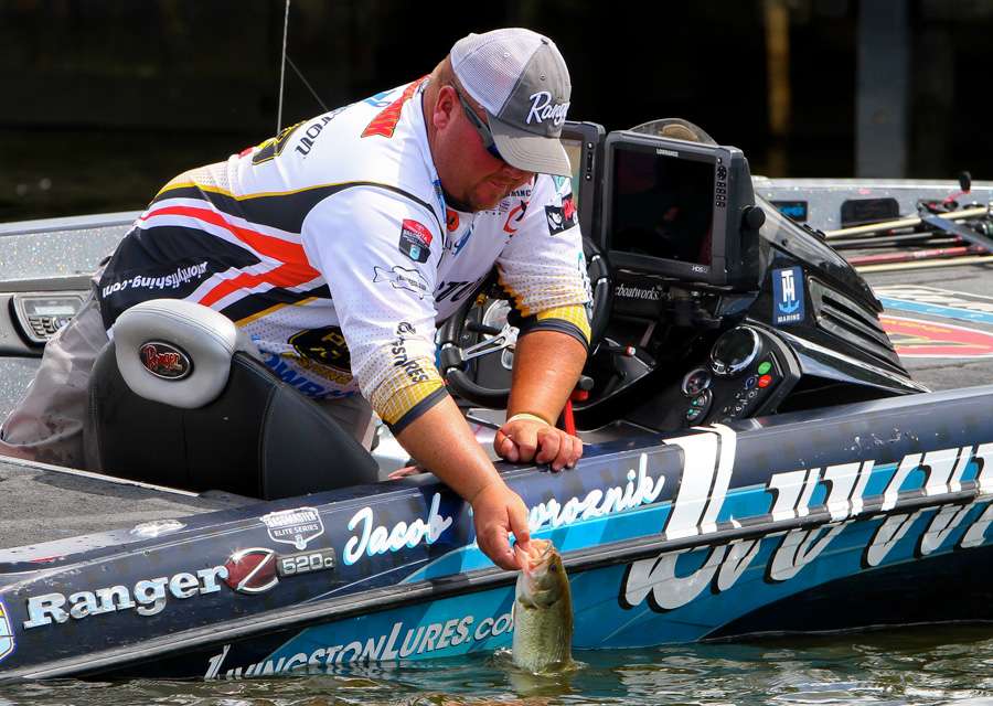 â¦and makes a good cull.