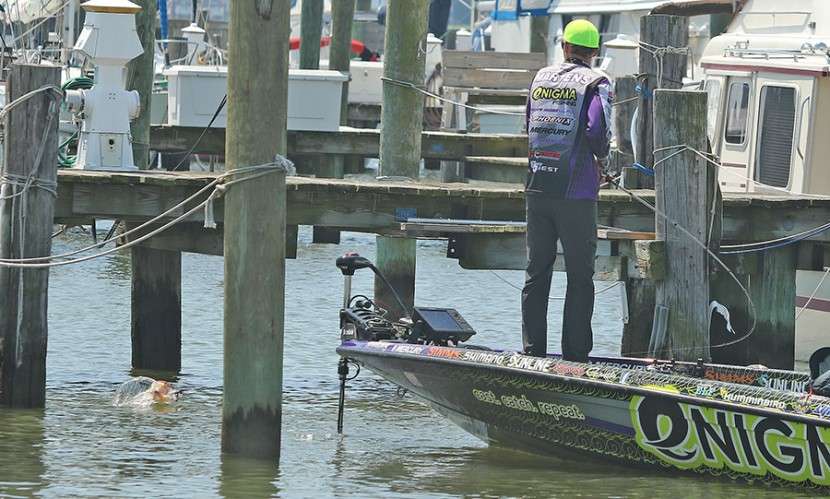 It was literally one hour, just after noon on the final day at Chesapeake Bay, when Martens caught the biggest bag (21-5) and the biggest bass (7-2) of the tournament â all captured as it happened on Bassmaster LIVE.