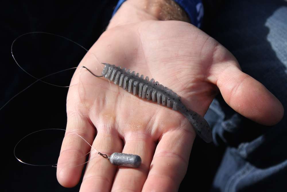 When he relies on a dropshot, he goes with a Poor Boy Baits Erie Darter in Smoke Pepper. He goes with a 1/4 and 3/8 ounce weight for his dropshot. 