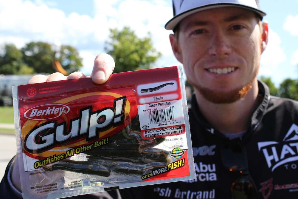The Gulp flavor has been known to be great for smallmouth.