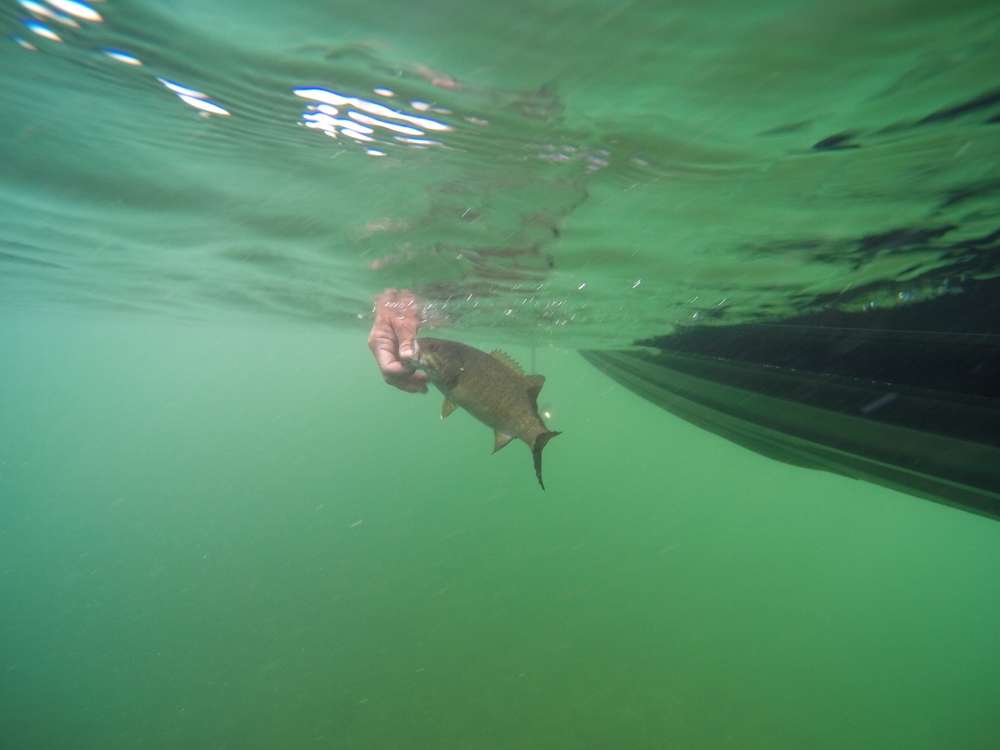 Thanks to GoPro we are able to capture some pretty cool underwater moments in these clear northern fisheries.
