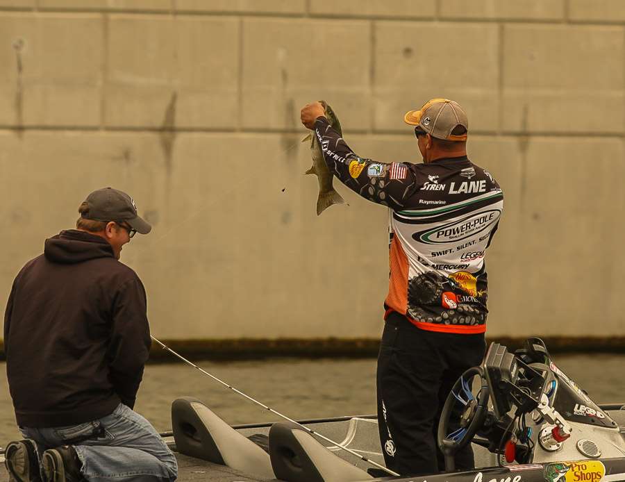 Chris Lane shows off this fish to the Bassmaster LIVE video team as they shoot from the bridge.