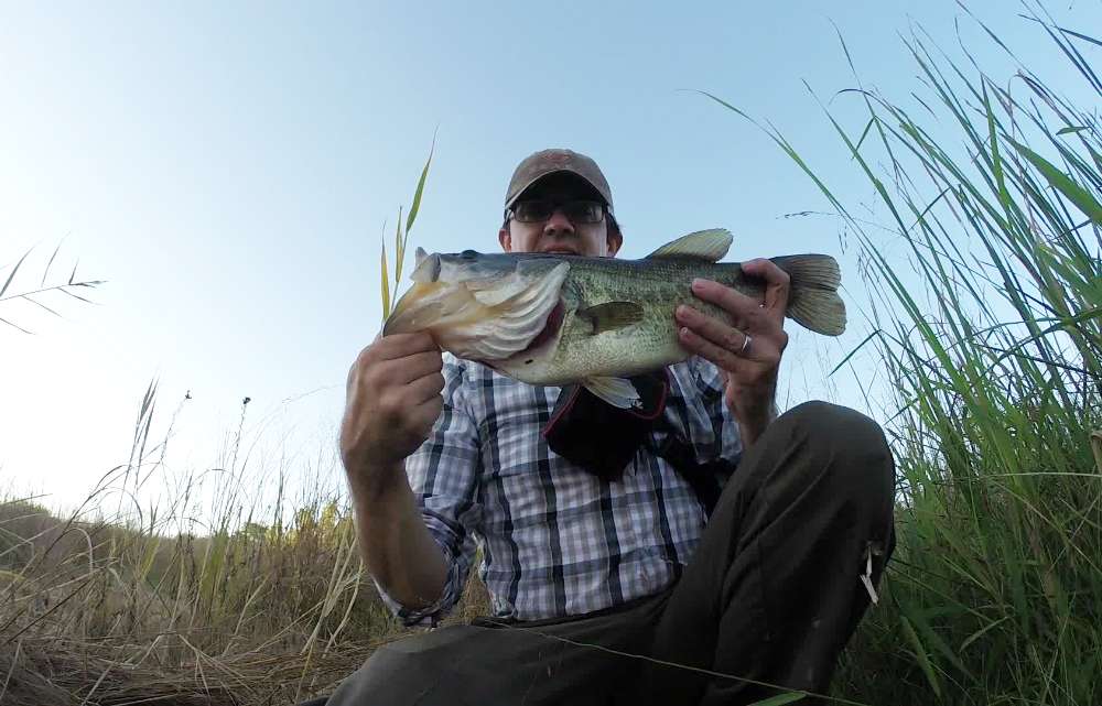 âOne of the bigger catches to come out of my local pond. Caught on a Rage Tail Thumper Worm.â Submitted by Michael