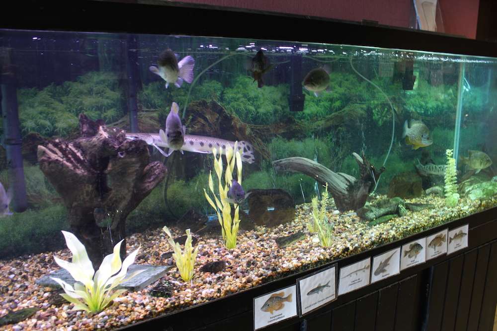 The aquarium in their lobby holds numerous types of fish that they test at the facility.