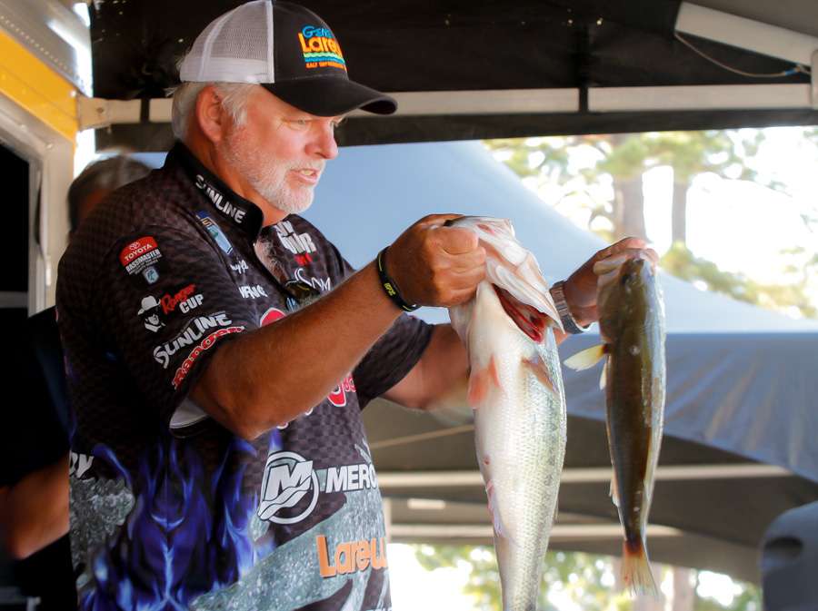 Tommy Biffle holds two of the fish that propelled him to 2nd place with 14 pounds, 12 ounces. Biffle needs a win on Table Rock to qualify for the 2016 Bassmaster Classic. 