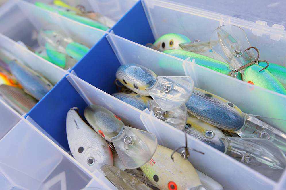 And a pro bass fisherman's boat wouldn't be complete without a tray of deep divers. He likes the Fat Free Shad, for sure. 