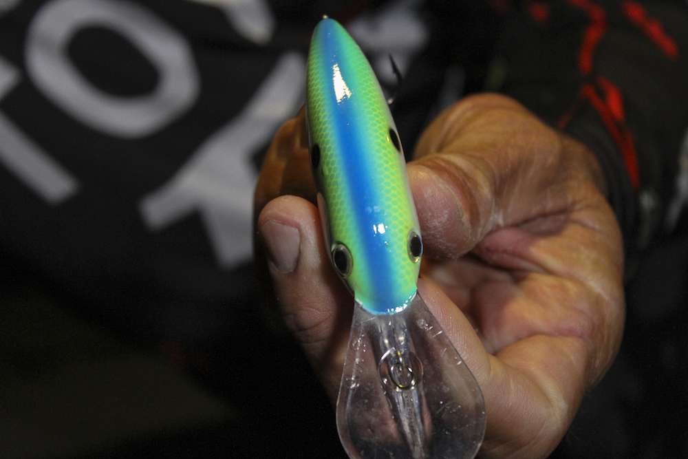 This bait has seen a ledge or two on the Tennessee River and has been a productive bait since it debuted.