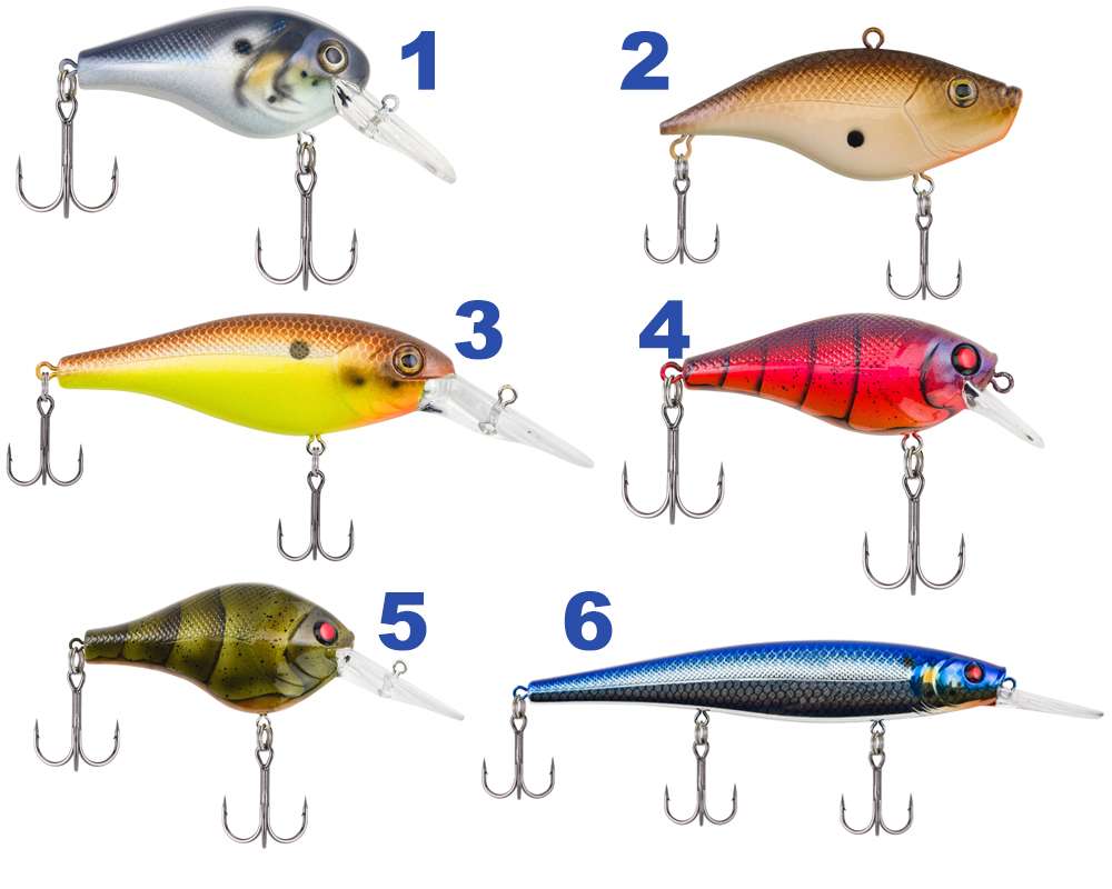 After four years of research and development with one of bass fishing's greatest crankbait fisherman, David Fritts helped design an outstanding new line of cranks from the legendary bait manufacturer. Berkley.<br>
<br>
<b>1. Wild Thang 8.5:</b> This crank is a deeper-running crankbait that really hunts for bites. The lip design makes it great for bouncing off of structure.<br>
<br> 
<b>2. Warpig:</b> The blunt-nosed, lipless Warpig 1/2 and 1/4 certainly deserves a spot on the deck of your boat. With a very unique look and action, the bait is versatile and easy to use.<br>
<br>
<b>3. Bad Shad:</b> The floating Bad Shad 5 and Bad Shad 7 are outstanding casting baits that rise in the water with each pause in the retrieve.<br>
<br>
<b>4. Pitbull:</b> The enticing tail wag of the square-billed Berkley Pitbull 5.5 is impressive and attractive, especially when bouncing it off wood and rock.<br>
<br>
<b>5. Digger:</b> Berkley Digger 6.5 and Digger 8.5 crankbaits are great for covering water with an aggressive wobble and side flash. The lures access their targeted running depth quickly and stay consistent throughout the retrieve.<br>
<br>
<b>6. Cutter 110:</b> Anglers that love nailing fish on suspended jerkbaits will love the new Cutter 90+, 110+ and Skinny Cutter 110+. The tenacious darting action from the slightest rod twitch will garner attention from even the most stubborn of fish.<br>
<br>
$6.95-$7.95; <a href=