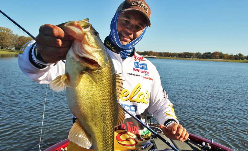 Although thereâs a rather healthy bass population in the lake, Niggemeyer said the slot limit doesnât allow for huge bags in tournaments here.