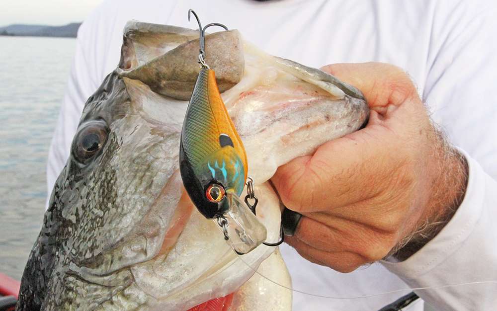 David Fritts recently said that these are $20 baits at a fraction of the price.