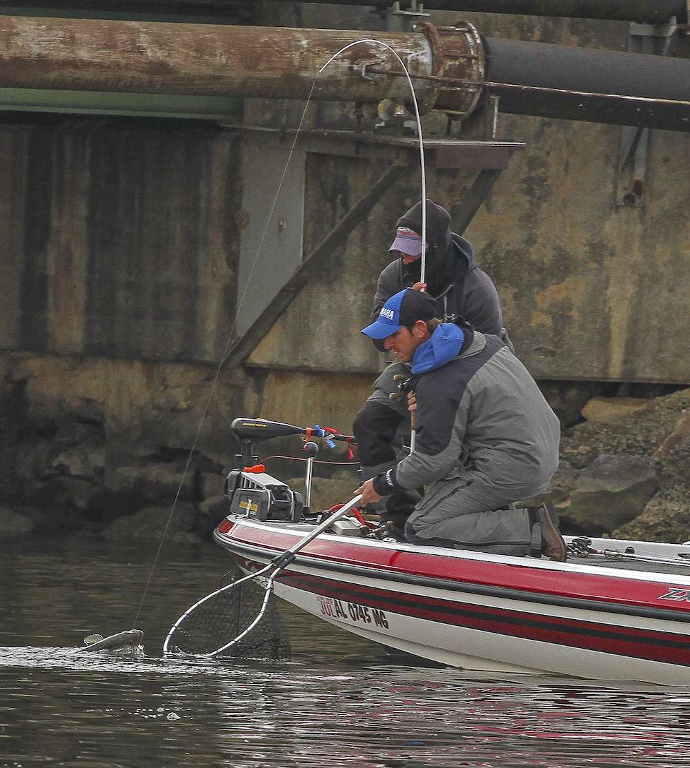 The anglers get the bass up to the net, which teams are allowed to use during the first two days of competition. Once they split into individuals with a shot at the Classic, they won't have the luxury of a net.