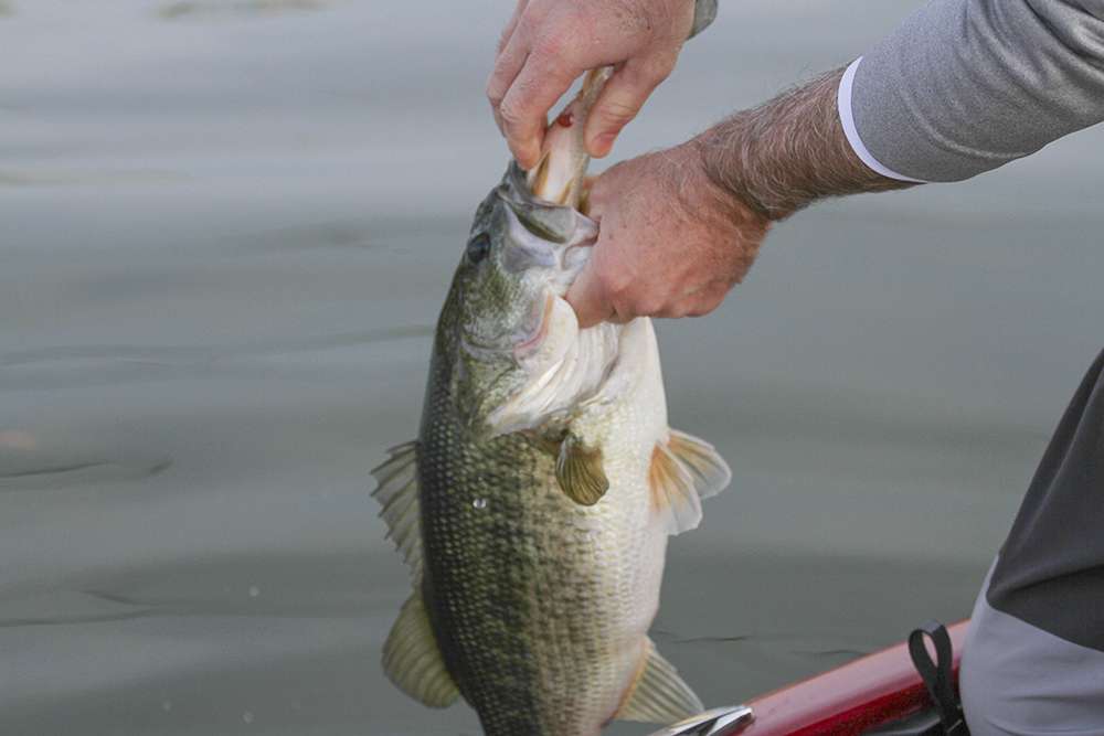 Our camera boat driver, Scott Dobbins, saved this bass from imminent death. For now, anyway.