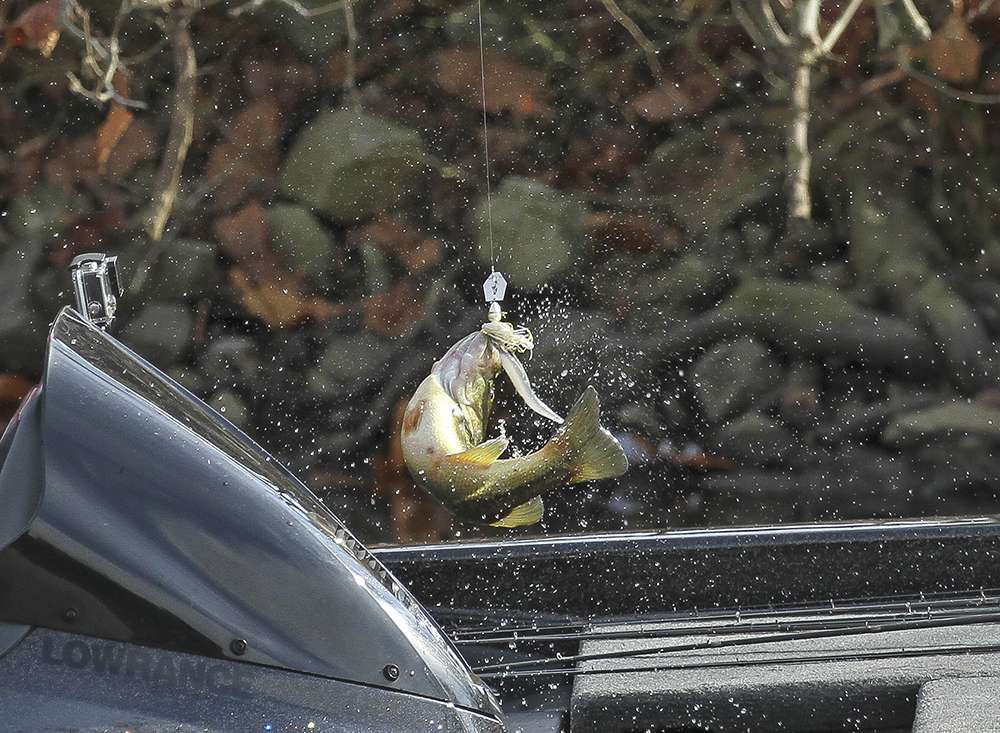 He picked up a vibrating jig with a swimbait trailer to catch that fish.