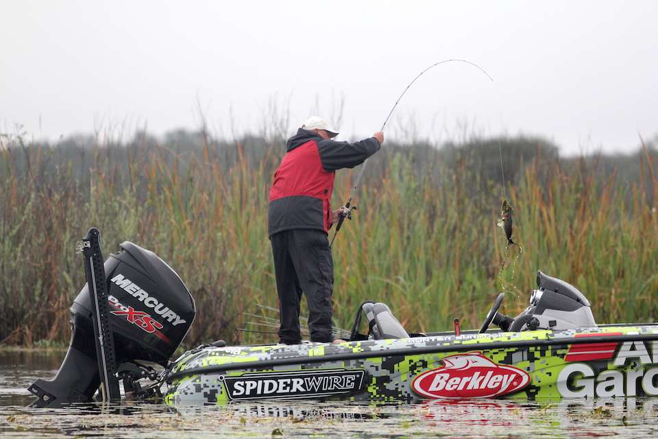 Co-angler William Beekman puts one in the boat. 