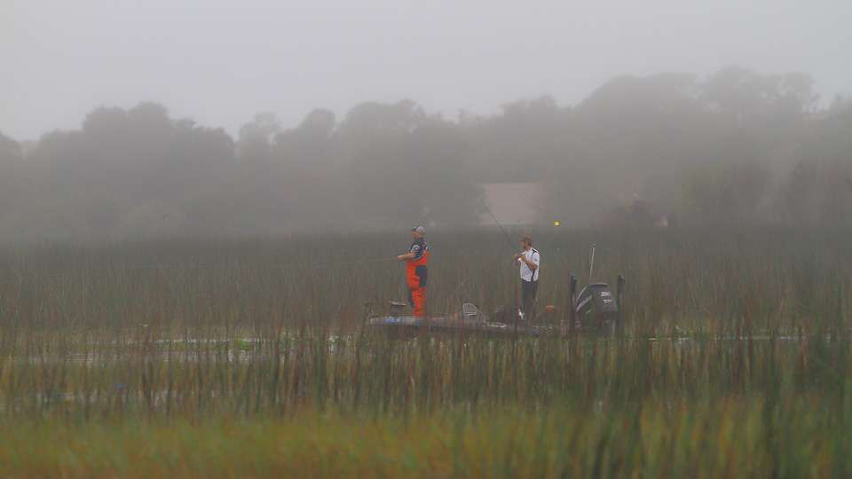 A safe place to stay out of the fog that moved through, were the miles of shoreline cover on Lake Toho. 