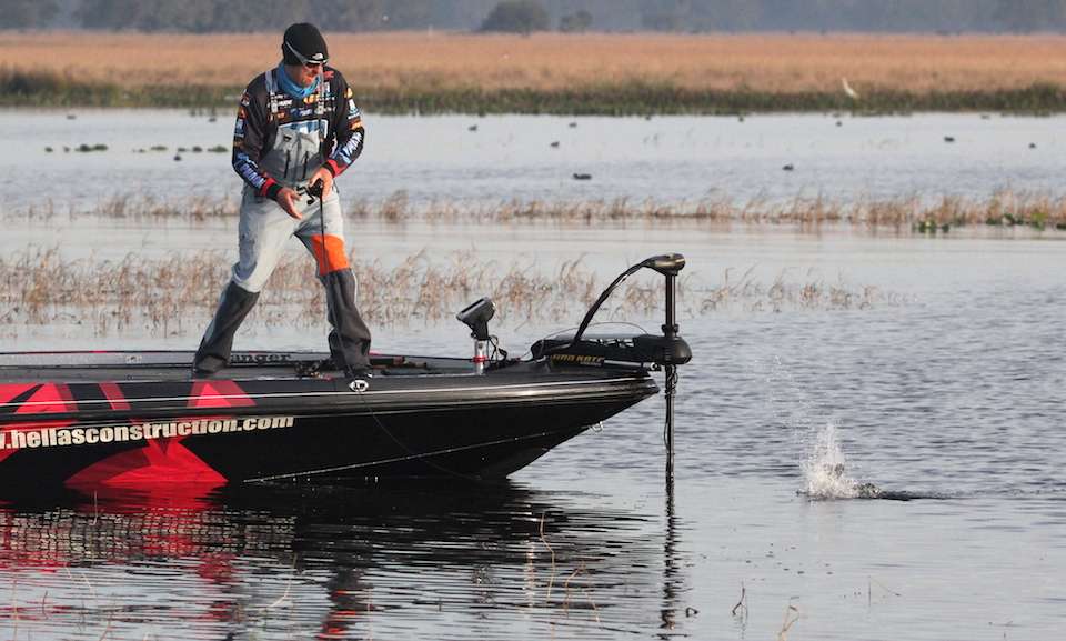As Strader paused his topwater prop bait, the fish inhaled it. 