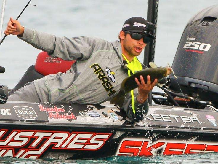 <b>Brandon Palaniuk</b><br>
10th place in Angler of the Year points