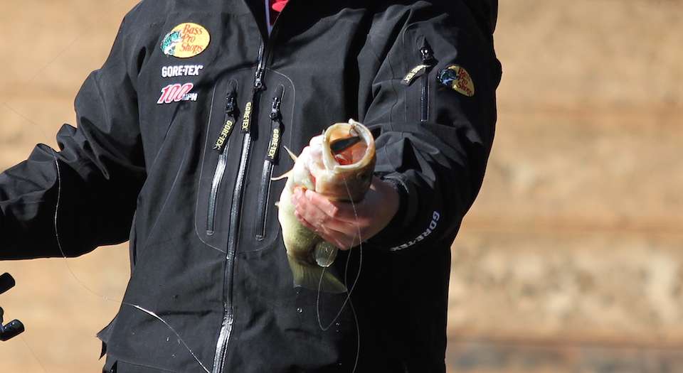 When bass are eating a crankbait like that, youâre onto something. 